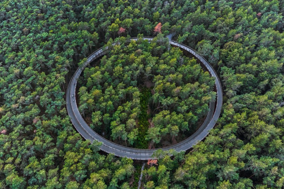 Ringförmiger Weg im Wald