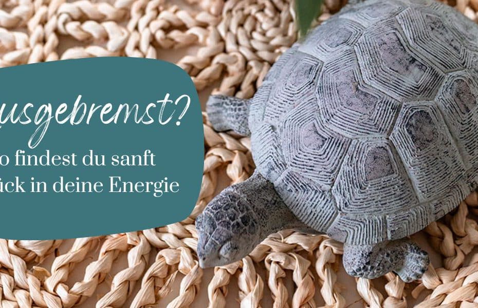 Wenn der Körper Stopp sagt: Wie du sanft zurück in deine Energie findest