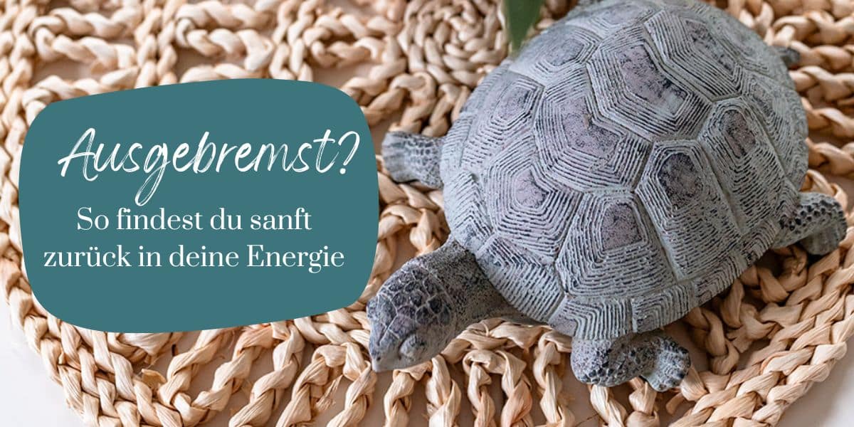 Wenn der Körper Stopp sagt: Wie du sanft zurück in deine Energie findest